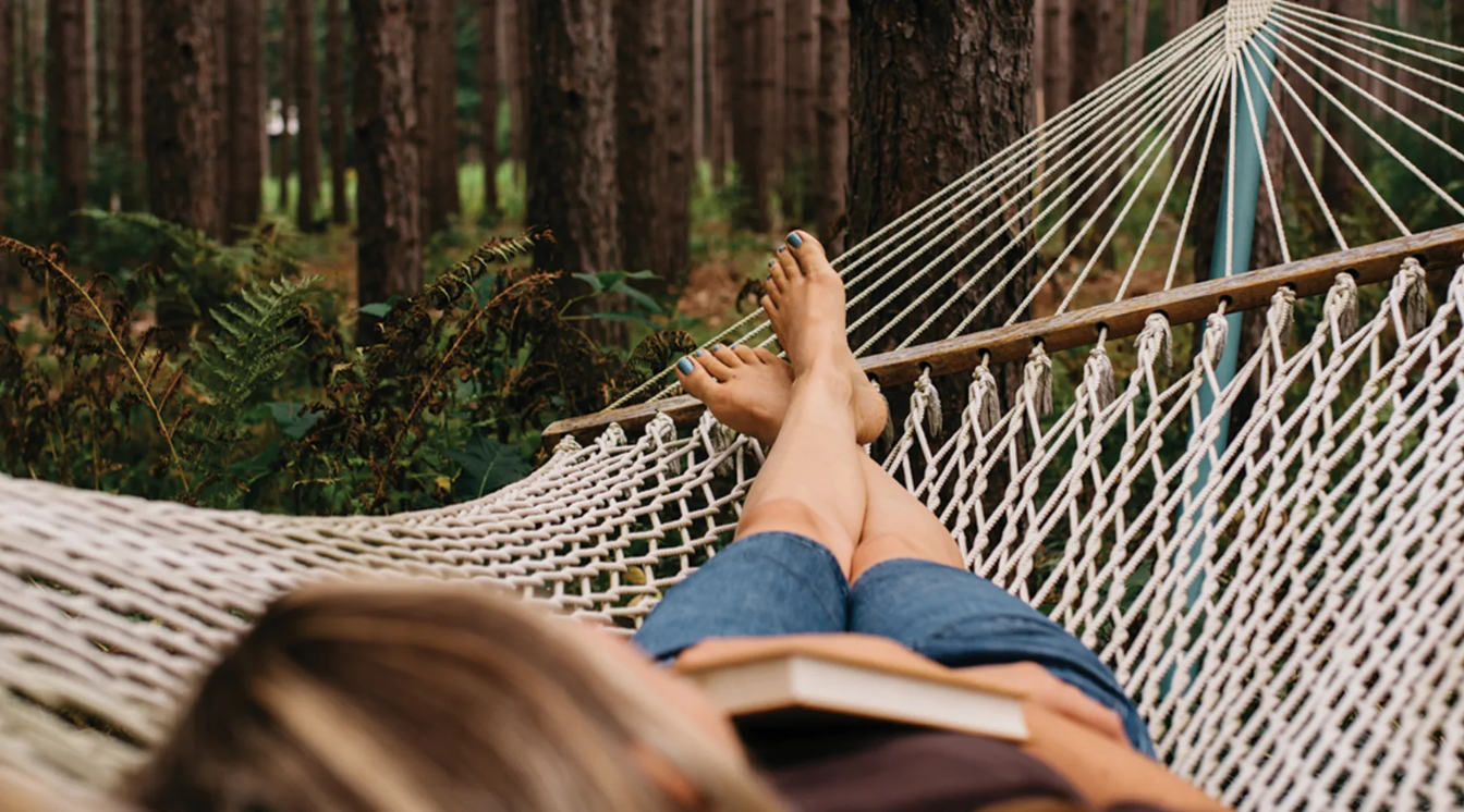 Snipaste_2024-08-26_10-00-21